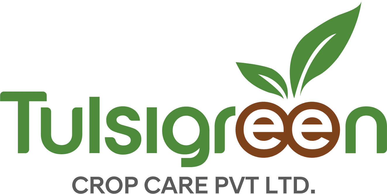 Tulsi Green